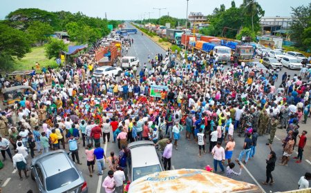 ఇండో సోలార్ వద్దు పొలం ముద్దు అంటూ కరేడు గ్రామస్తులు నిరసన