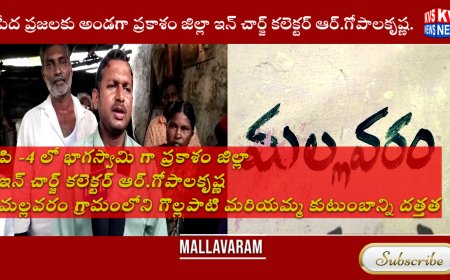 మరియమ్మ కుటుంబాన్ని దత్తత  తీసుకున్న ప్రకాశం జిల్లా ఇన్ చార్జ్ కలెక్టర్ ఆర్.గోపాలకృష్ణ