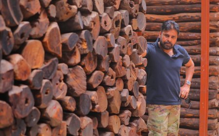 మొదలైన కింగ్ పిన్స్ వేట