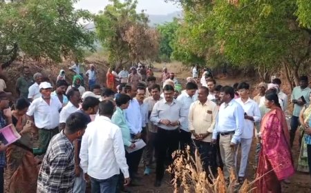 ఉపాధి హామీ పనుల ముఖ హాజరును తనిఖీ చేసిన కలెక్టర్..