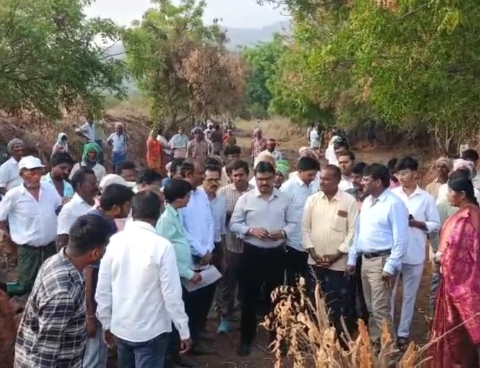 ఉపాధి హామీ పనుల ముఖ హాజరును తనిఖీ చేసిన కలెక్టర్..